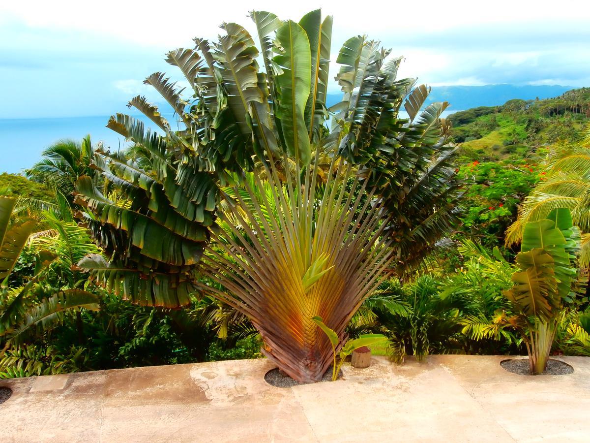 Korovesi Sunshine Villas Savusavu Exteriér fotografie